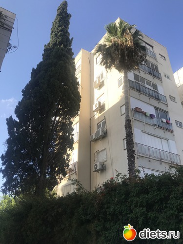 113 ����: ���� 2018 � 16.07