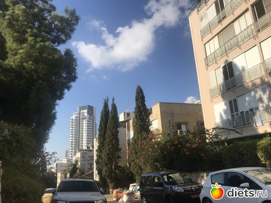 115 ����: ���� 2018 � 16.07