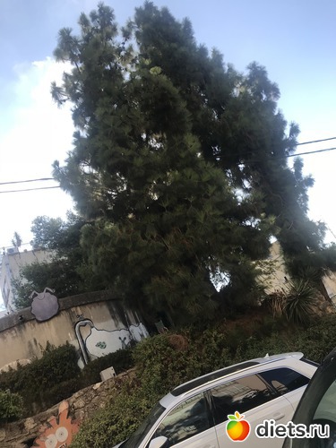 116 ����: ���� 2018 � 16.07