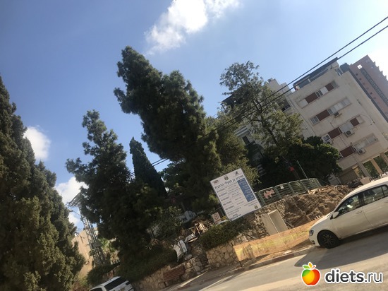 117 ����: ���� 2018 � 16.07