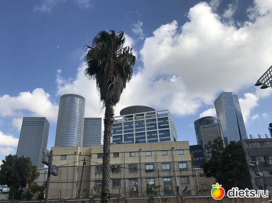 99 ����: ���� 2018 � 16.07