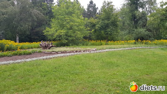 3 ����: ���� ��������.