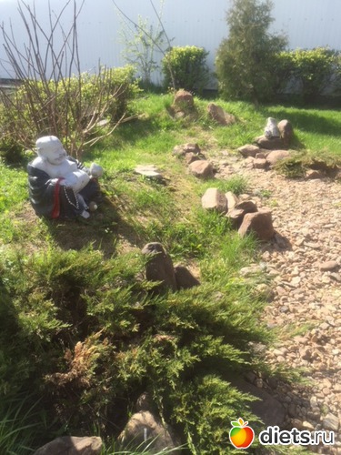 5 ����: ��� ���.