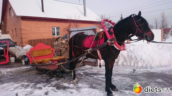 ��� �����, ������: ��� ���.