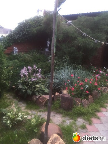 ���������� �����, ������: ��� ���.