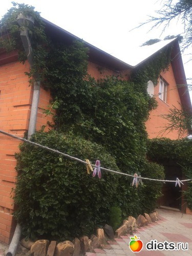 10 ����: ��� ���.