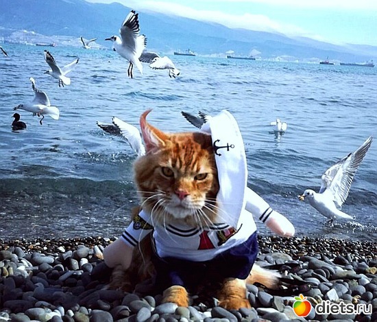 4 ����: �������