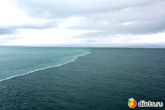 Море, альбом: То, что я люблю