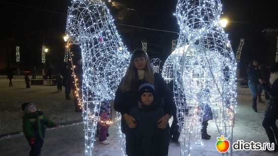 1 ����: ����