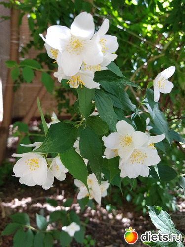 132 фото: То, что я люблю