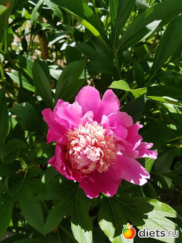 134 фото: То, что я люблю