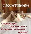 ����� �� ������� " ����� 60". ����� �� ������� �� 17.06.2018