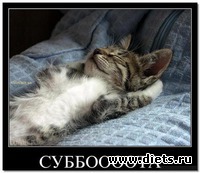 Забег по системе " Минус 60". отчёт по питанию за 16.06.2018