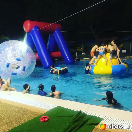 81 ����: ���� 2018