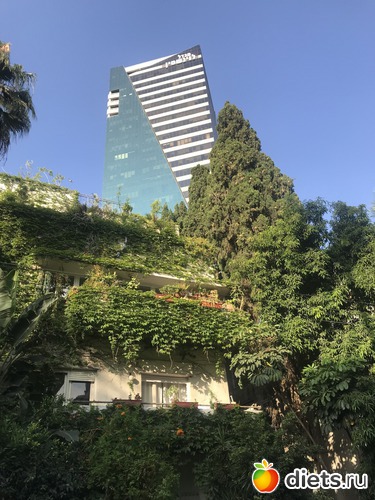 93 ����: ���� 2018