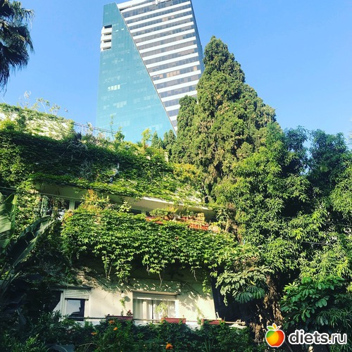 97 ����: ���� 2018