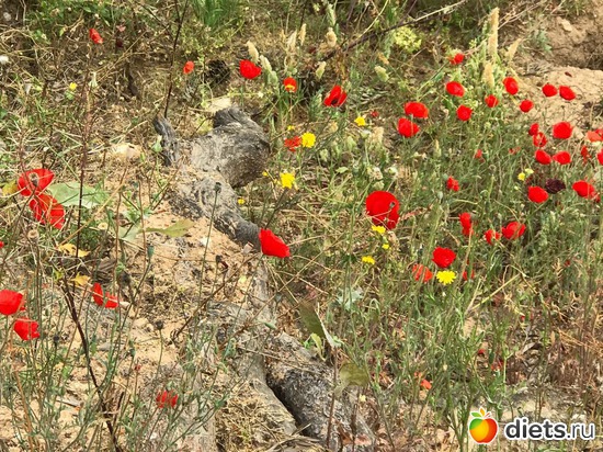 25 ����: ���� 2018