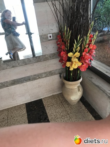 119 фото: Июнь 2018