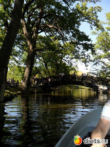 2 ����: ����