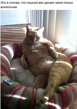 3-  (22.06-24.06):)))  : 2-  42- :)))