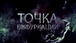 Точка бифуркации. Размышления.