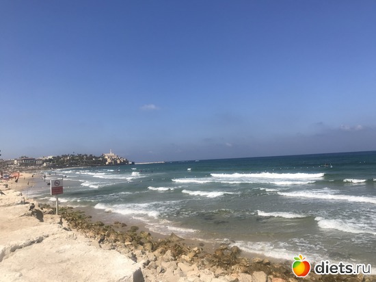 134 ����: ���� 2018