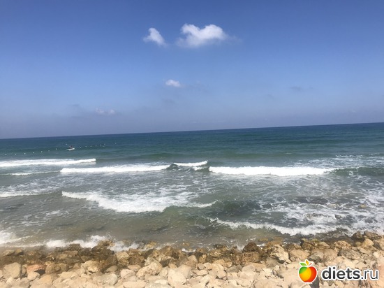 135 ����: ���� 2018