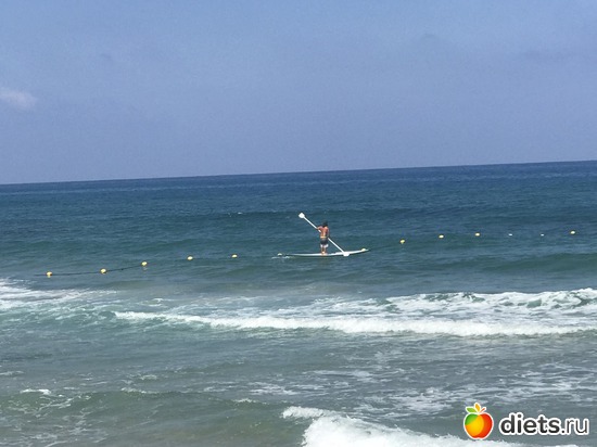 137 ����: ���� 2018