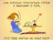 ����� �� ������� " ����� 60". ����� �� ������� �� 01.07.2018