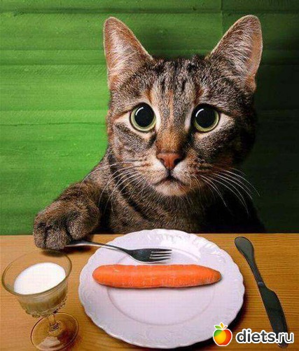 2 ����: ������))