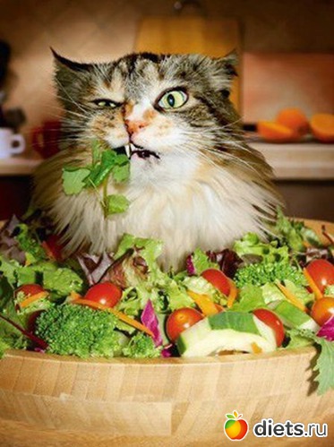 3 фото: Разное))