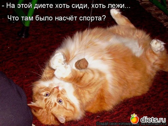 4 ����: ������))