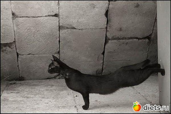 8 фото: Разное))