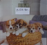 50 ���� 8 �����������