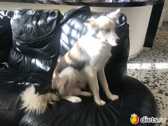 10 ����: ���� 2018