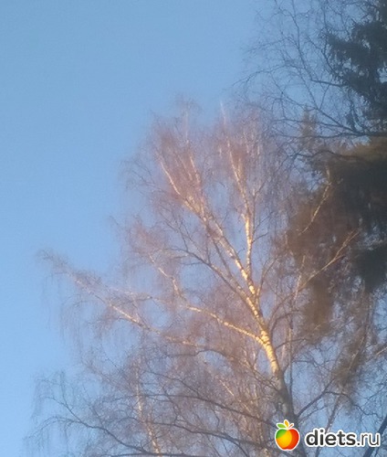 2 ����: �����  2018