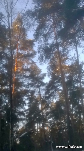 3 ����: �����  2018