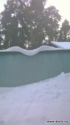 5 ����: �����  2018