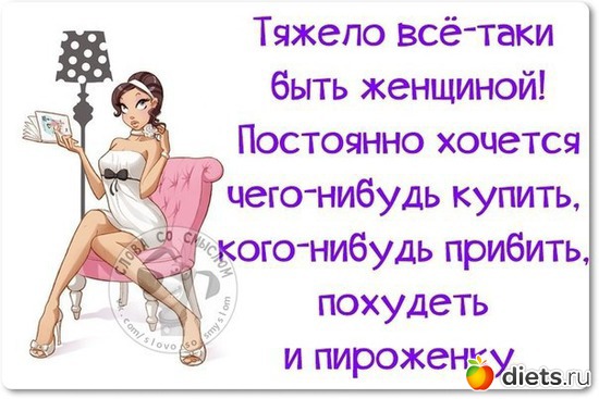 41 ����: ��������