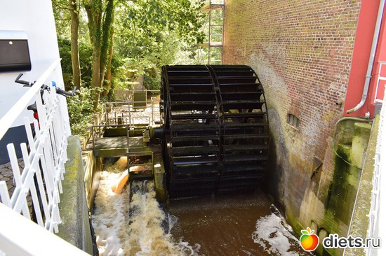 11 ����: ��� ����������