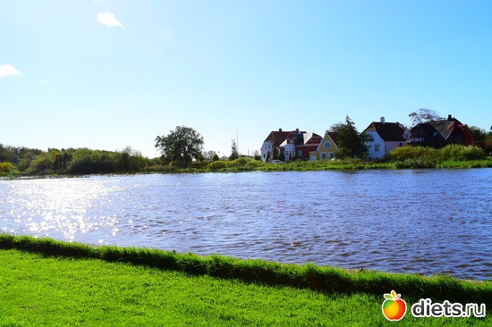 17 ����: ��� ����������