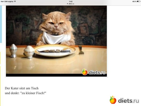 1 фото: Фото напоминалки