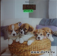 92 день 12 взвешивания