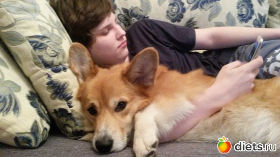 ����� � ����, ������: ������