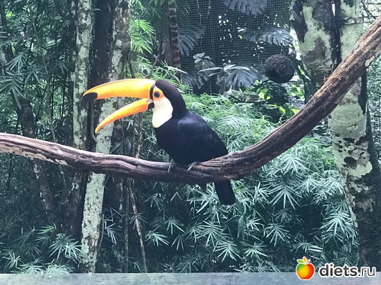 130 ����: ���������, ����, �������� - ����-������ 2018