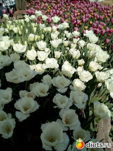 82 фото: То, что я люблю