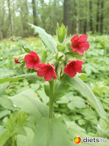 85 фото: То, что я люблю