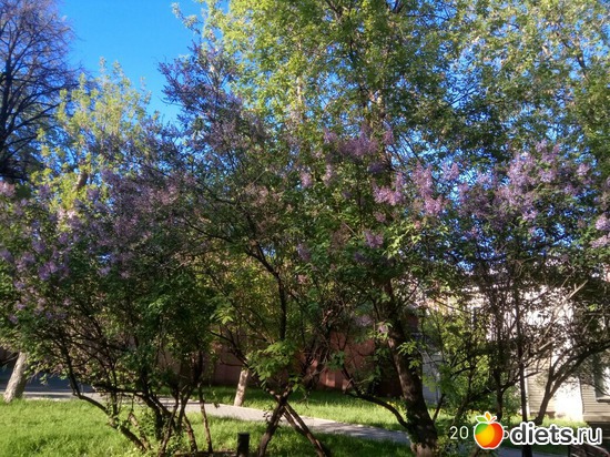 94 фото: То, что я люблю