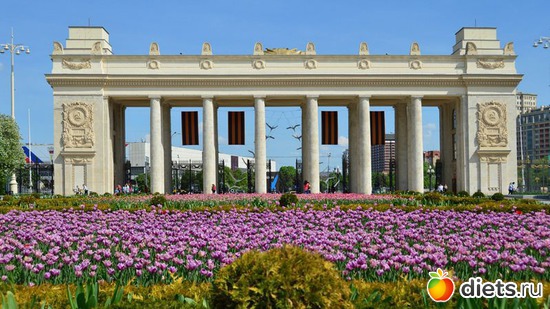 ����, ������: ���