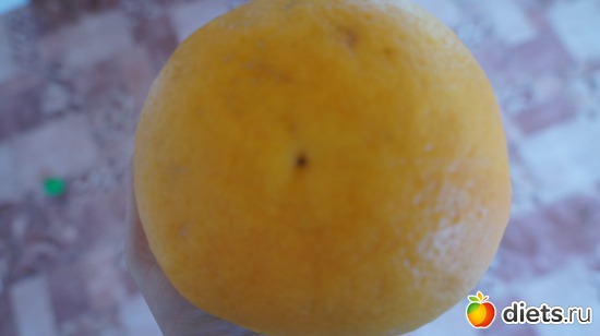 47 ����: ���� ��� �������